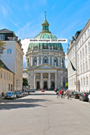 Andre visninger 2025 januar - cover
