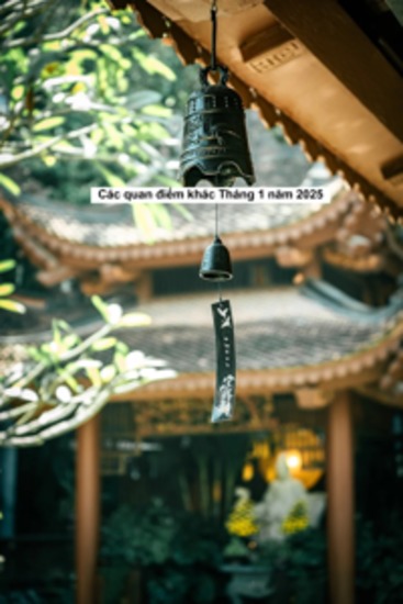 Các quan điểm khác Tháng 1 năm 2025 - cover