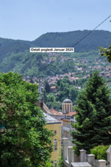 Ostali pogledi Januar 2025 - cover