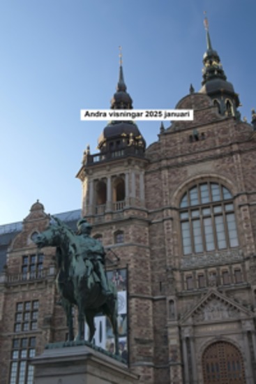 Andra visningar 2025 januari - cover