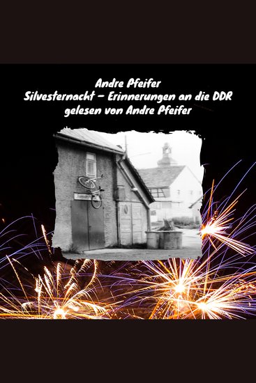 Silvesternacht - Erinnerungen an die DDR - cover