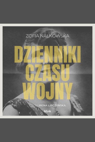 Dzienniki czasu wojny - cover
