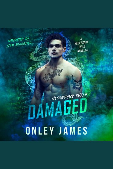 Damaged - cover