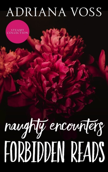 Naughty Encounters Forbidden Reads - Steamy Collection - cover