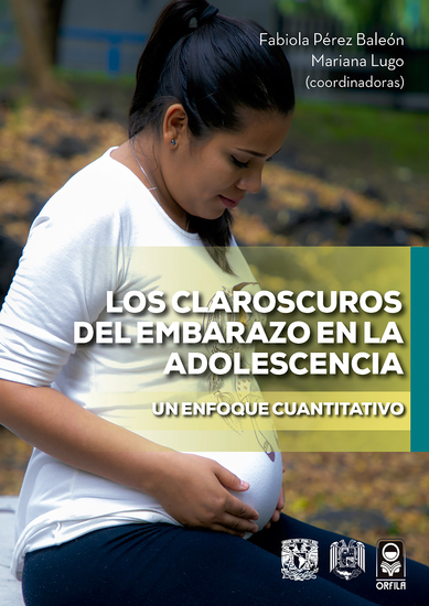 Los claroscuros del embarazo en la adolescencia Un enfoque cuantitativo - cover