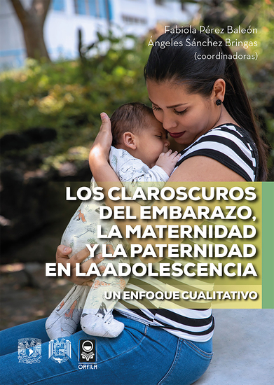 Los claroscuros del embarazo la maternidad y la paternidad en la adolescencia Un enfoque cualitativo - cover