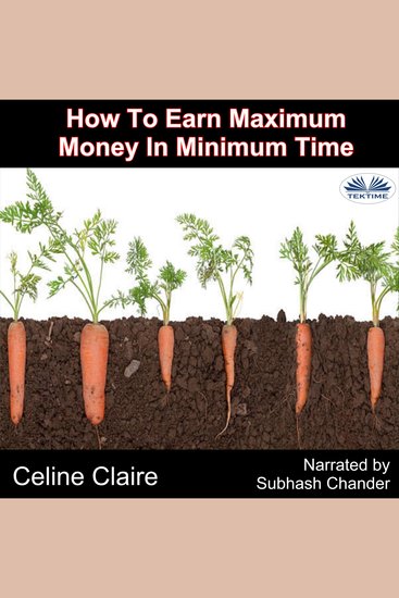 How To Earn Maximum Money In Minimum Time - cover