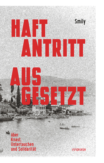 Haftantritt ausgesetzt - Über Knast Untertauchen und Solidarität - cover