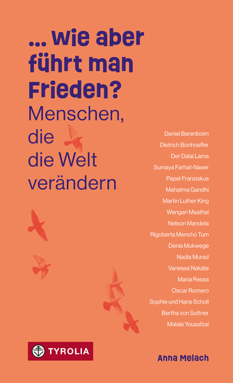 wie aber führt man Frieden - Menschen die die Welt verändern - cover