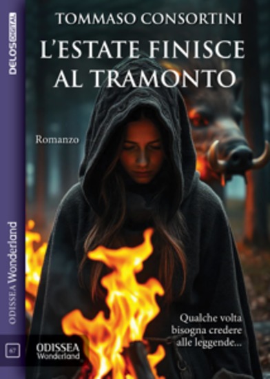 L'estate finisce al tramonto - cover