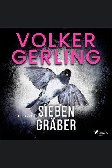 Sieben Gräber - Thriller - cover
