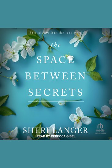 The Space Between Secrets - cover