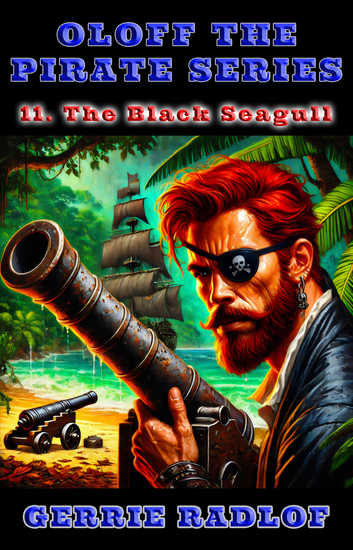 The Black Seagull - A Cape pirate adventure Book 11 - cover