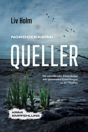 Nordseekrimi Queller: Ein mitreißender Küstenkrimi mit spannenden Ermittlungen an der Nordsee - Krimi Empfehlung - cover