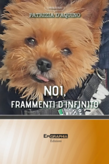Noi frammenti d’infinito - cover