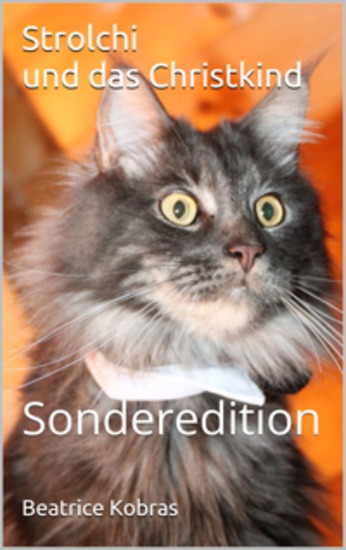 Strolchi und das Christkind - cover
