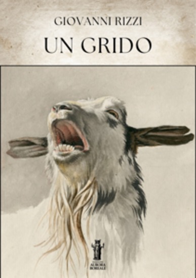 Un grido - cover