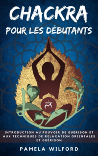 Chakras pour les Débutants - cover
