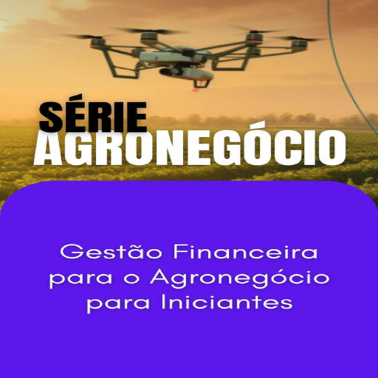 Gestão Financeira para o Agronegócio para Iniciantes - cover