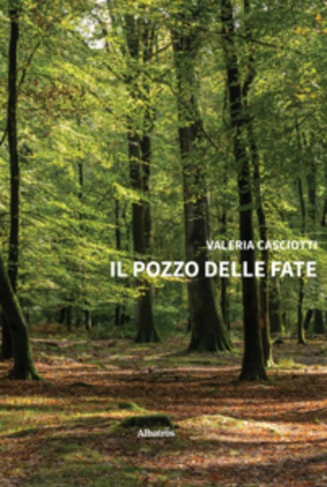 Il pozzo delle fate - cover