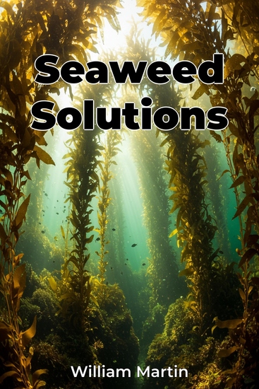 Seaweed Solutions - cover