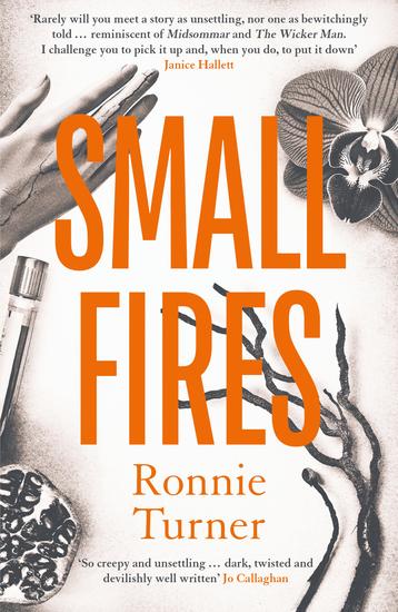 Small Fires - This year's most unsettling hypnotic contemporary gothic thriller - cover