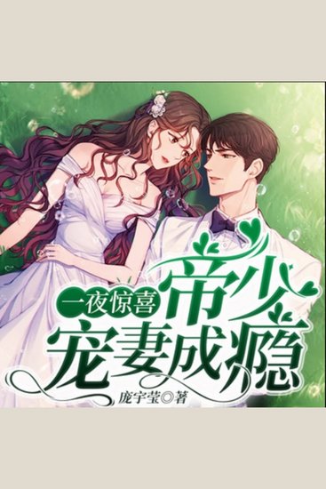 一夜惊喜，帝少宠妻成瘾|闪婚|豪门婚恋 - 傲娇帝少宠妻无度，一夜惊喜开启甜蜜爱恋！ - cover