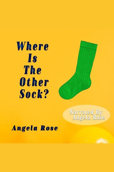 Where is The Other Sock? - cover