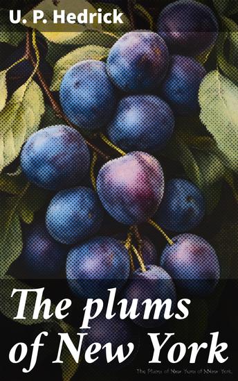 The plums of New York - cover