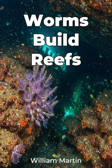 Worms Build Reefs - cover