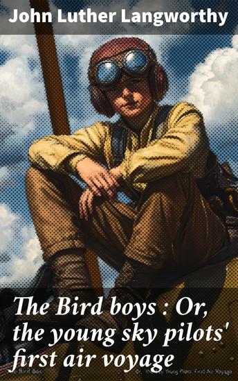 The Bird boys : Or the young sky pilots' first air voyage - cover