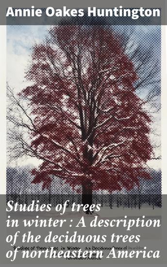 Studies of trees in winter : A description of the deciduous trees of northeastern America - cover