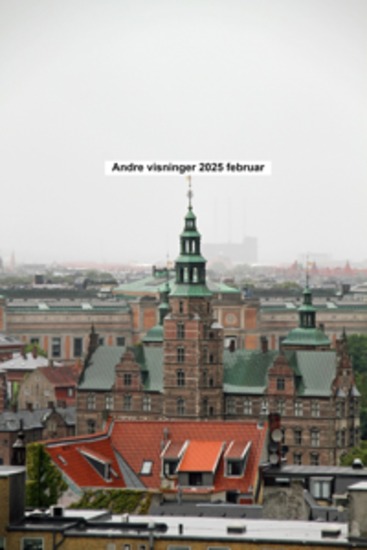 Andre visninger 2025 februar - cover