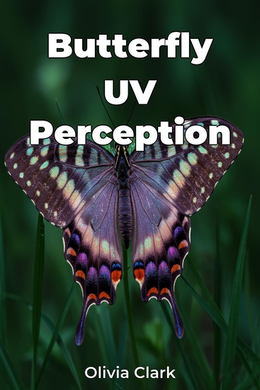 Butterfly UV Perception - cover