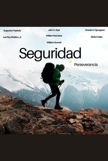 Seguridad Y Perseverancia - cover