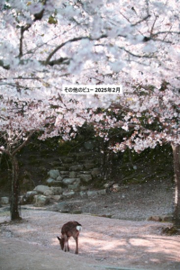 その他のビュー 2025年2月 - cover