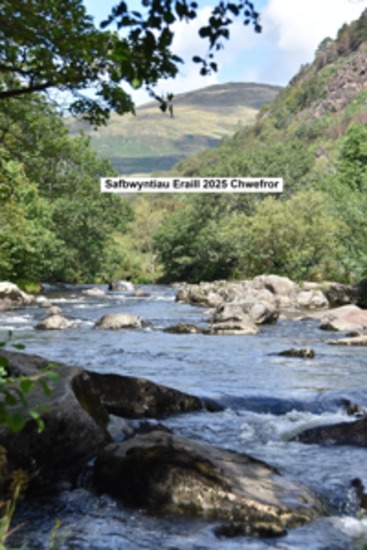 Safbwyntiau Eraill 2025 Chwefror - cover