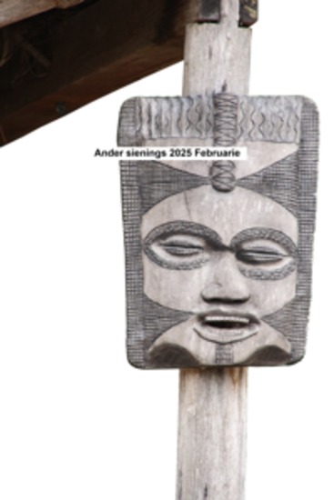 Ander sienings 2025 Februarie - cover