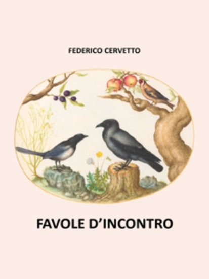 Favole D'Incontro - cover