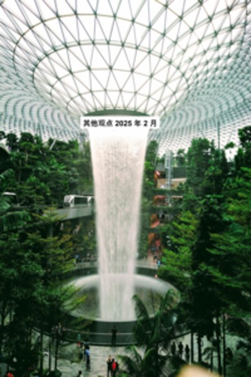 其他观点 2025 年 2 月 - cover