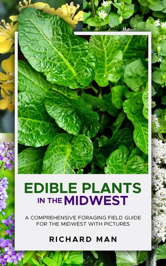 Edible Plants in the Midwest - A Comprehensive Foraging Field Guide for the Midwest with Pictures - cover