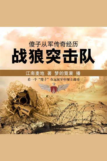 傻子从军传奇经历：战狼突击队 - cover