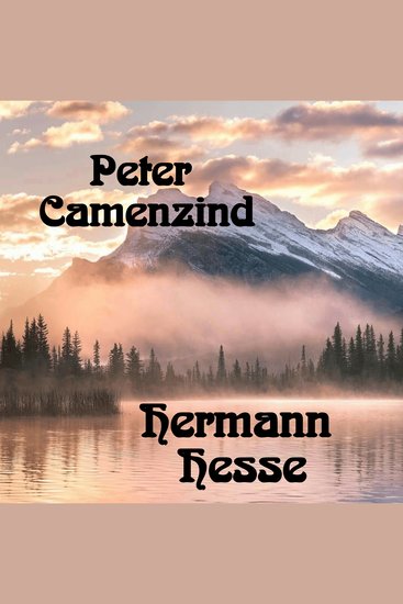 Peter Camenzind - cover
