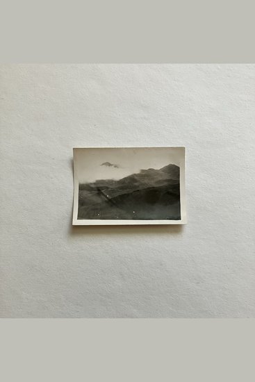 The Fern House - cover