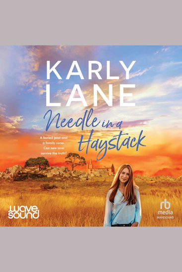 Needle in a Haystack - cover