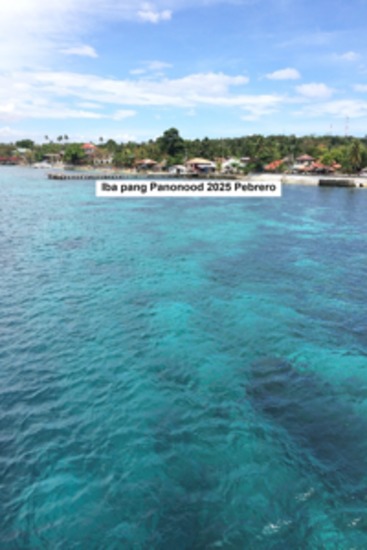 Iba pang Panonood 2025 Pebrero - cover