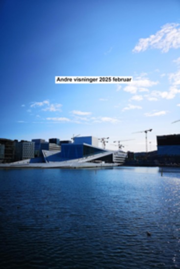 Andre visninger 2025 februar - cover