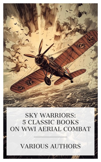 Sky Warriors: 5 Classic Books on WWI Aerial Combat - Air Service Boys Flying for France The Air Service Boys over the Rhine Aircraft and Submarines With the French Flying Corps etc - cover