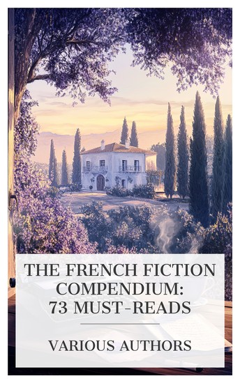 The French Fiction Compendium: 73 Must-Reads - The Amethyst Ring The White House The Gods are Athirst Sister Anne Very Woman etc - cover