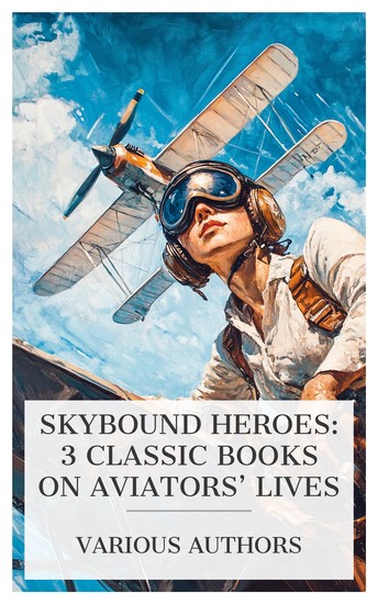 Skybound Heroes: 3 Classic Books on Aviators' Lives - Georges Guynemer: Knight of the Air Flying the Atlantic in Sixteen Hours Daughter of the Sky etc - cover